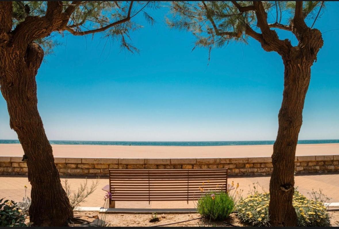 La Coquille - Spacieux 45m2, T2 A 1min De La - Wifi Apartment