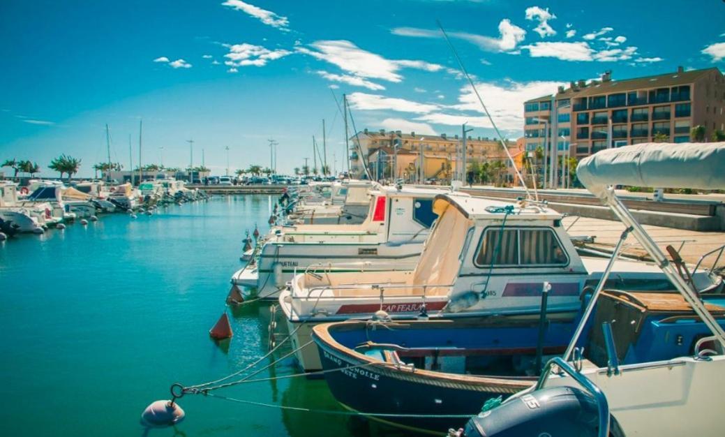 La Coquille - Spacieux 45m2, T2 A 1min De La - Wifi * Valras-Plage
